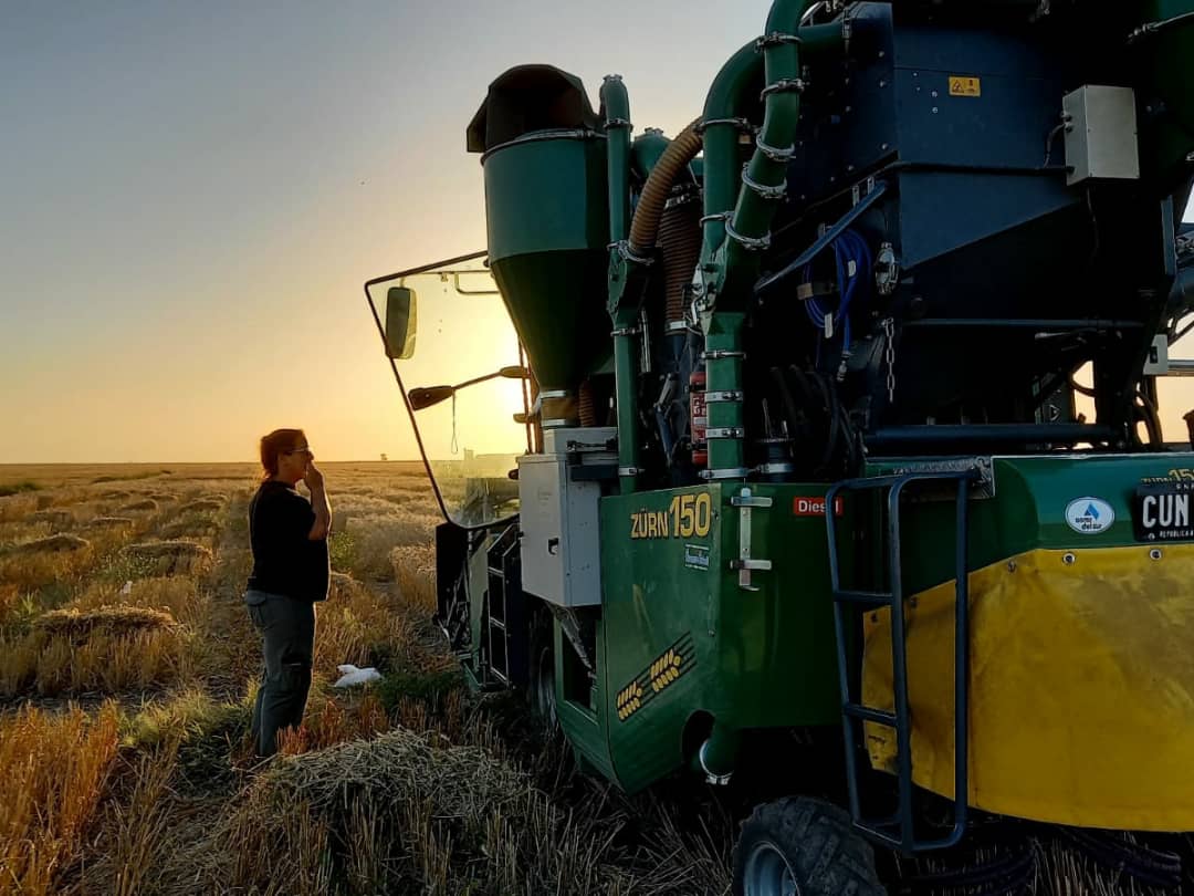 Federico Moreyra tweet media