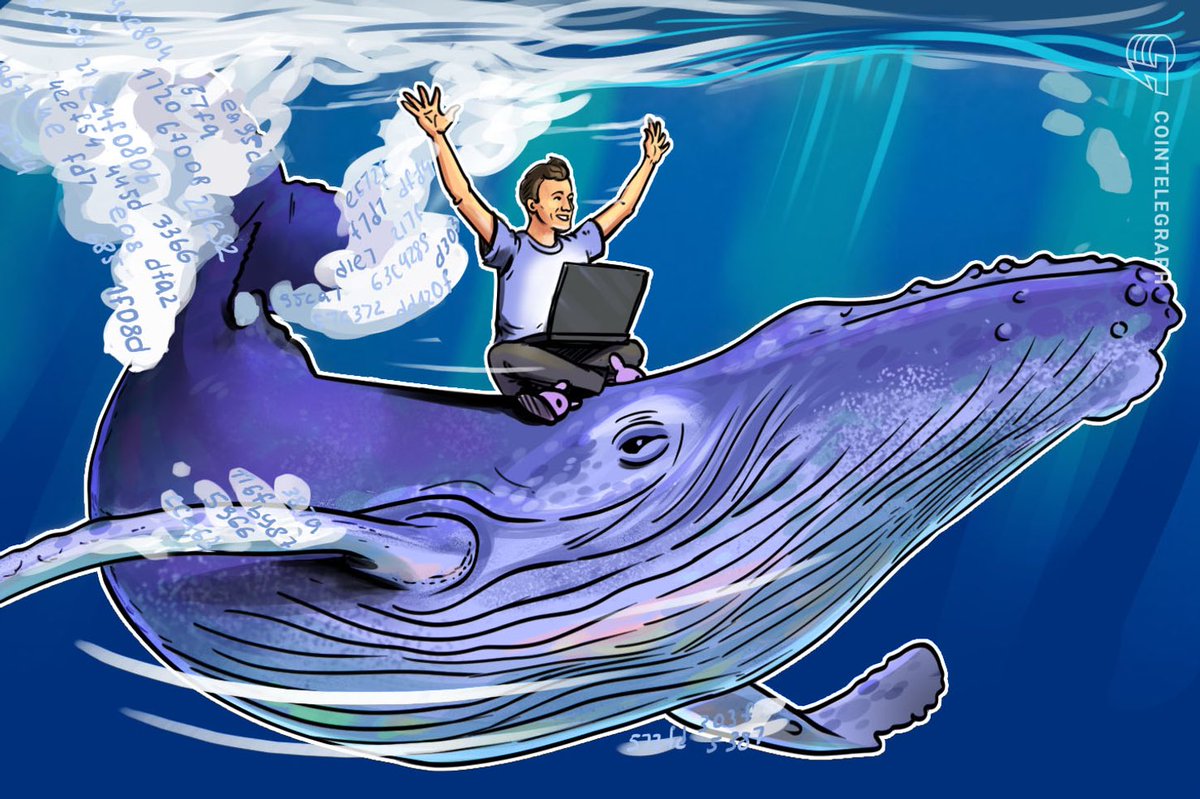 GuldenBites's tweet photo. Discovered a new hobby. 

Whale hunting. 

#Gulden: let’s go fishing together 🙌😜🚀.  $nlg https://t.co/N1YND3slFj