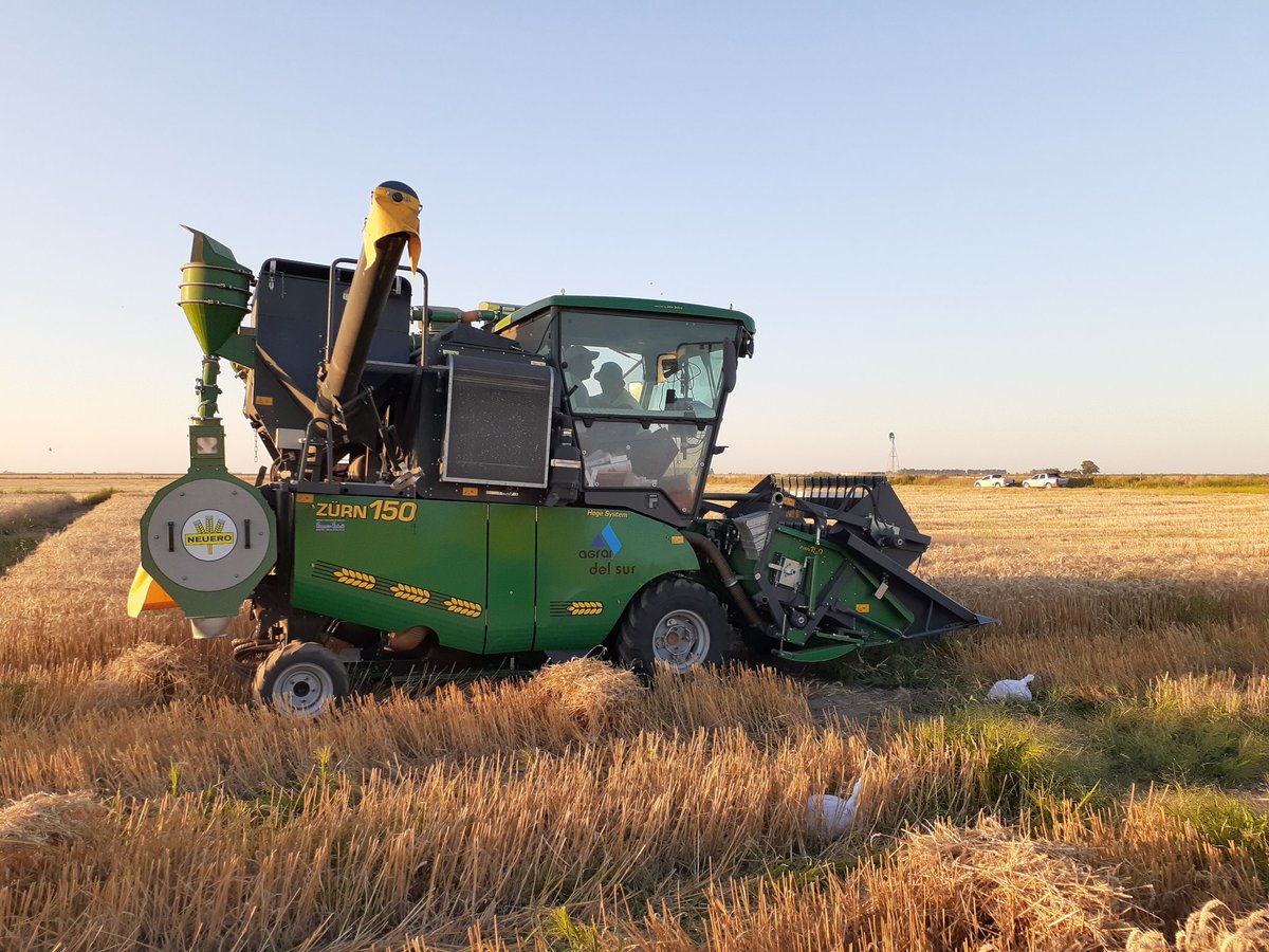 Federico Moreyra tweet media