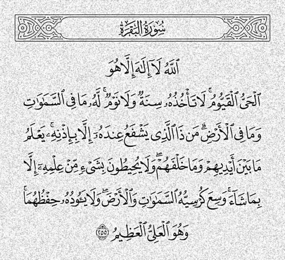 فاطمةᥫ᭡ tweet media