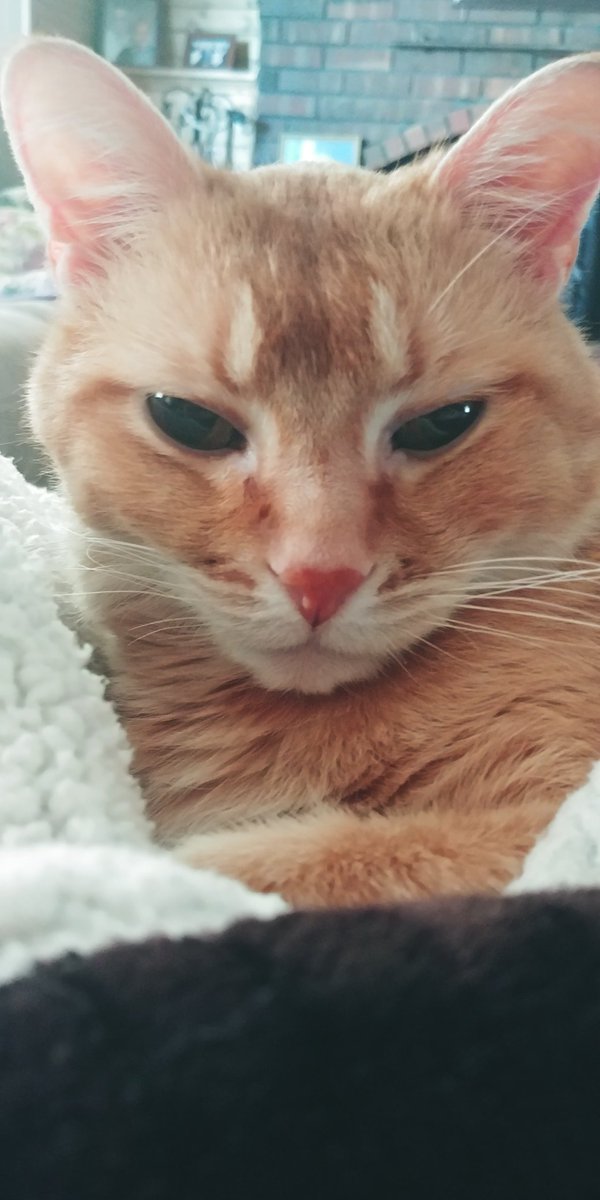 NicoleKerwin's tweet photo. Don't talk to me or my son https://t.co/UWHZboBd78