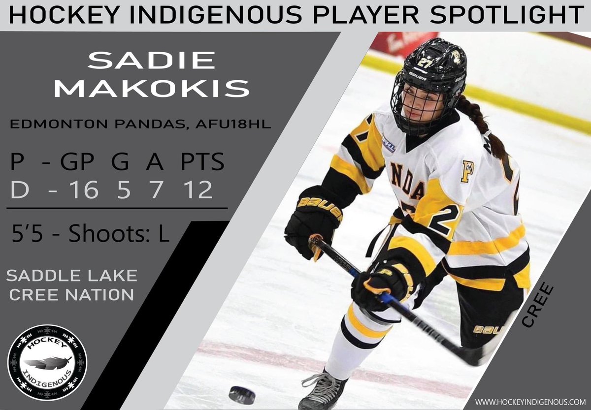 Hockey Indigenous tweet media