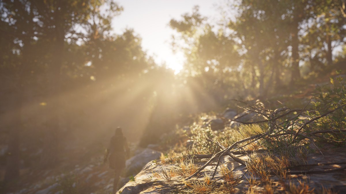 Virtual Landscapes tweet media