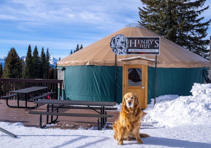 DestinationVail tweet picture