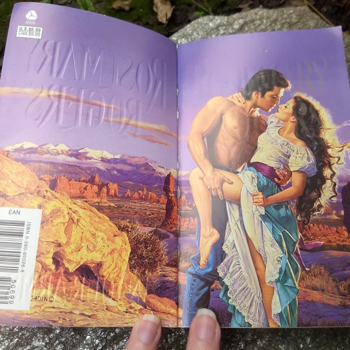 NeniaCampbell's tweet image. Today I'm sharing some #stepbacks from one of my favorite authors... ROSEMARY ROGERS!