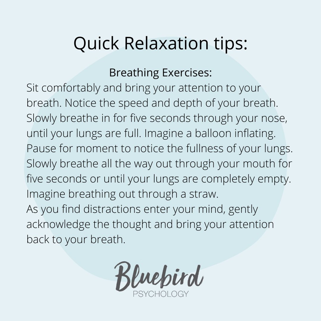 Bluebird Psychology tweet media