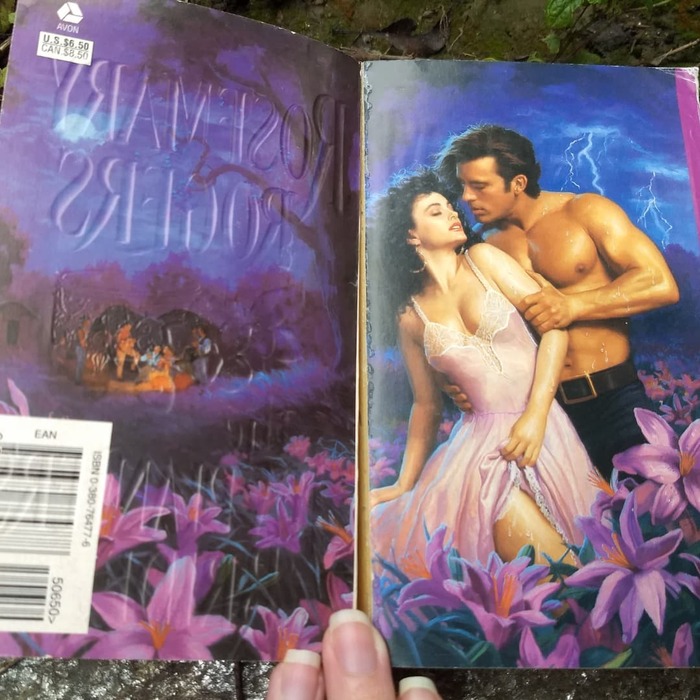 NeniaCampbell's tweet image. Today I'm sharing some #stepbacks from one of my favorite authors... ROSEMARY ROGERS!