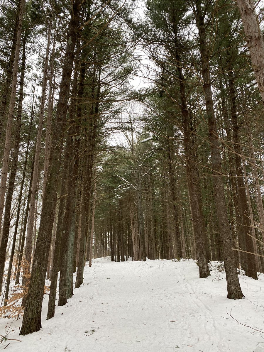 9nineteen's tweet photo. Saturday winter hike https://t.co/toLEuJoO7i