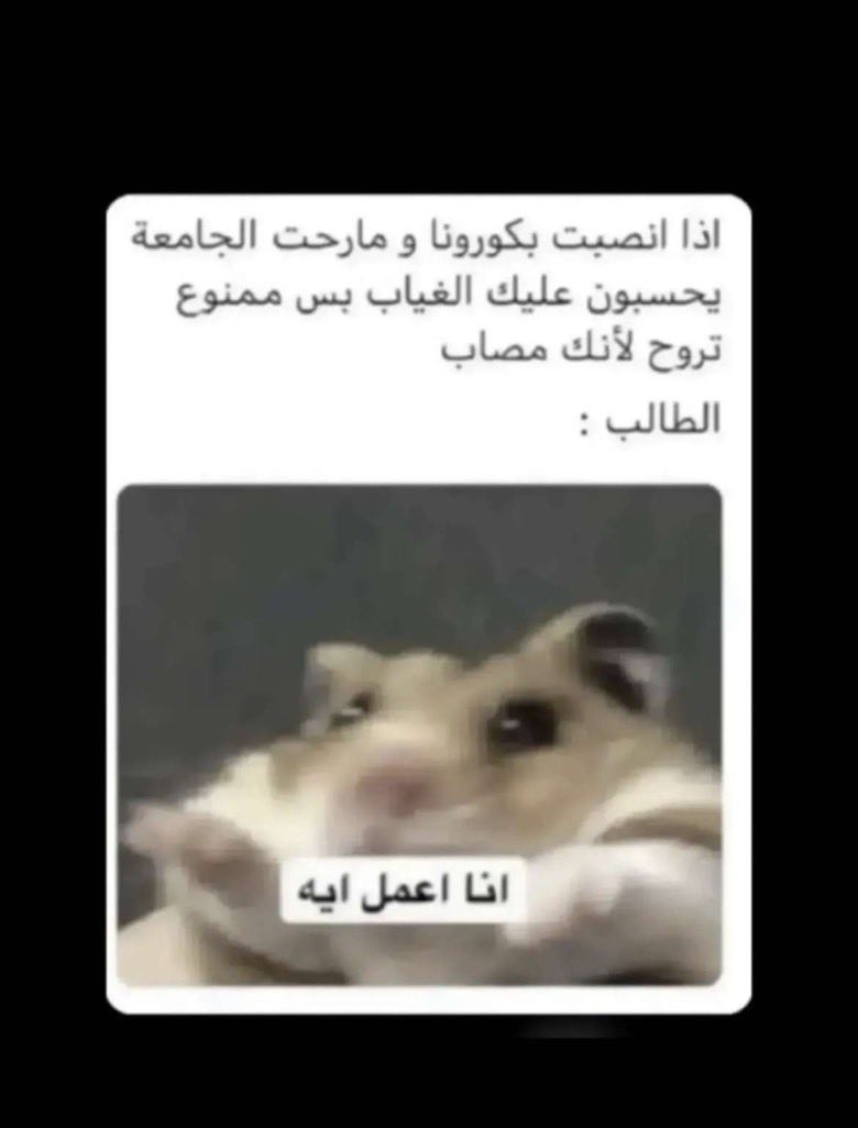 28Memaah_'s tweet photo. #جامعة_قطر 🥲 https://t.co/1EuH6qNrNZ