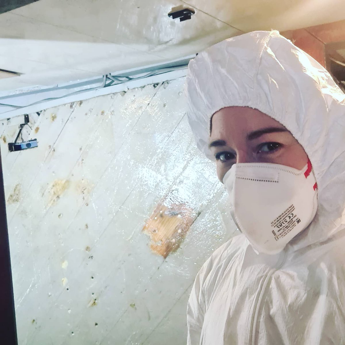 shiphappens1392's tweet image. How amazing is this original 1943 bulkhead! @BerthonGroup build strong boats! 78 years later and the wood is still in great condition! #berthon #HDML #wood #woodenboat #boatrestoration #bulkhead #WW2  #shiphappensuk  #nationalhistoricships @NatHistShips