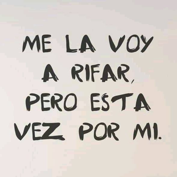 Mg Selecta tweet media