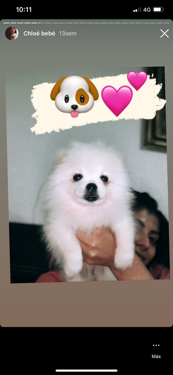 soloOll's tweet photo. @sopitas 🥰 https://t.co/28A6Txmt4A