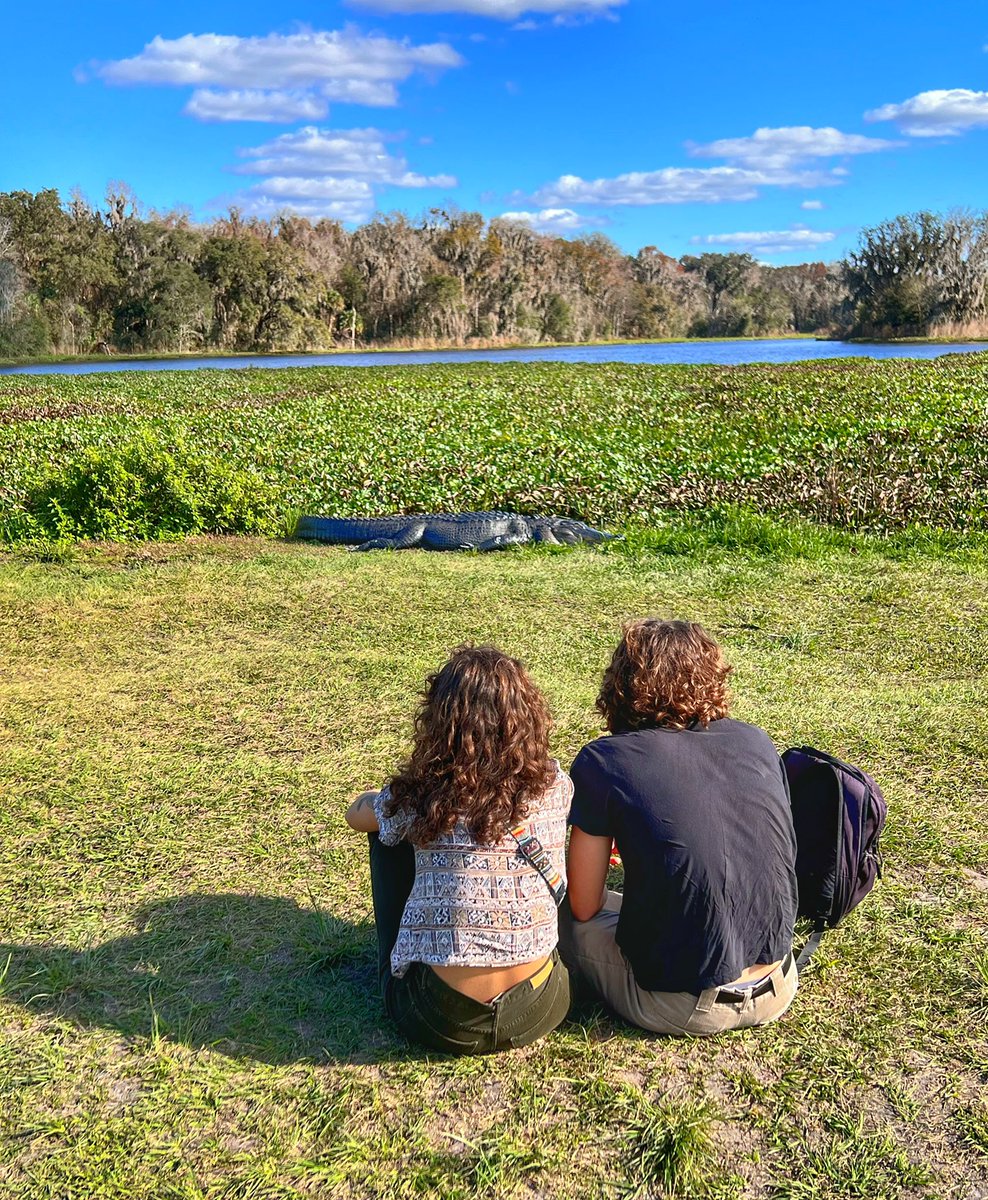 zgator66's tweet photo. The best swamp in town, where the real #Gators play 🐊 #PaynesPrairie #loveFL https://t.co/kIumfXMjB5
