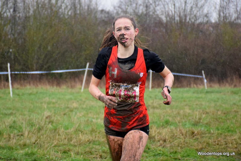 Woodentops tweet media