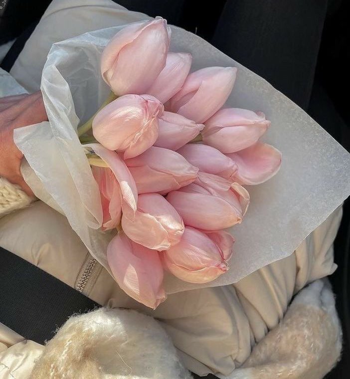 maybeeevirgo's tweet photo. buy her flowers https://t.co/XJh3NvX3fS