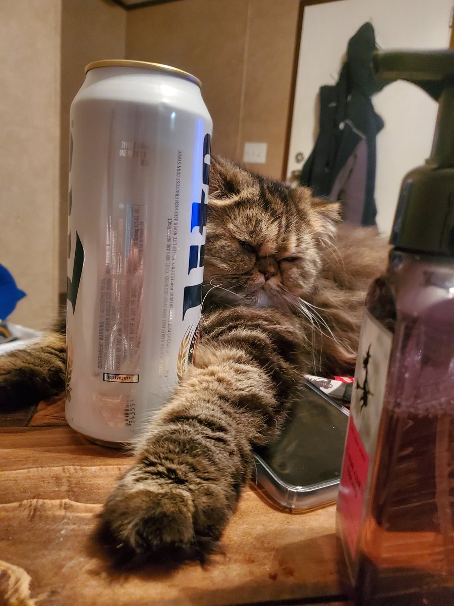 hudsonjustinn's tweet photo. I think she was having a rough night https://t.co/UhMmdLJc2J