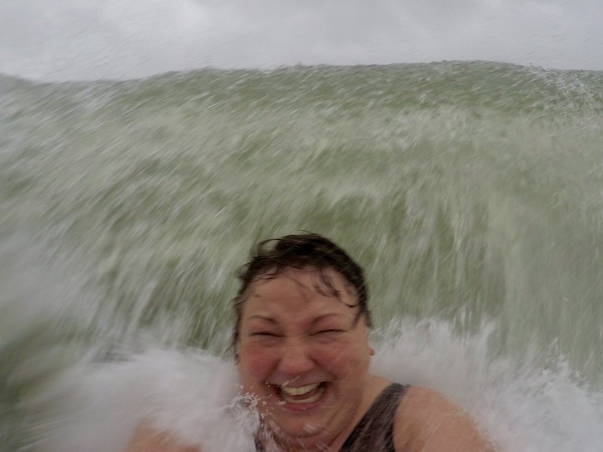 Dip Advisor tweet media