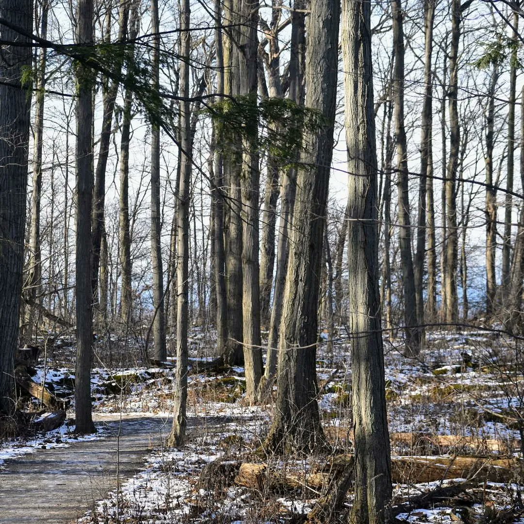 tc_31's tweet photo. Beautiful day for a hike #Beamerfalls #bruceTrail #MyNiagara https://t.co/fUT08gfzlB