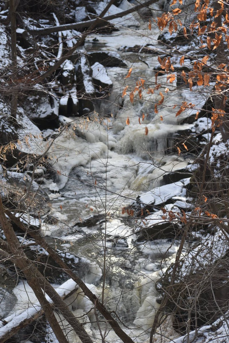 tc_31's tweet photo. Beautiful day for a hike #Beamerfalls #bruceTrail #MyNiagara https://t.co/fUT08gfzlB