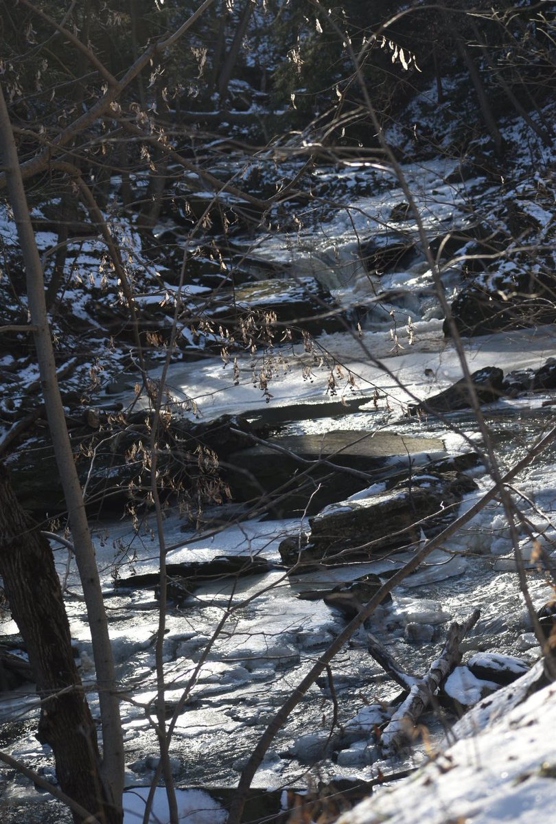 tc_31's tweet photo. Beautiful day for a hike #Beamerfalls #bruceTrail #MyNiagara https://t.co/fUT08gfzlB