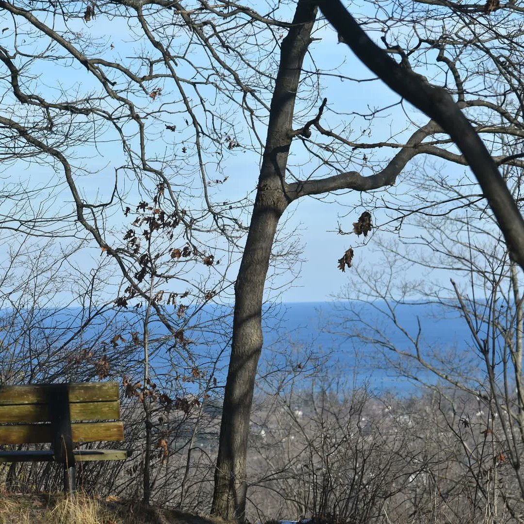 tc_31's tweet photo. Beautiful day for a hike #Beamerfalls #bruceTrail #MyNiagara https://t.co/fUT08gfzlB