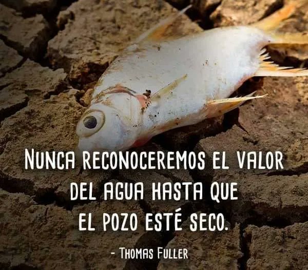 Nunca reconoceremos el valor del agua hasta que el pozo esté seco.