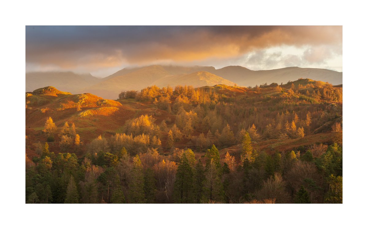 Landscape Photography GO WITH THE FLOW Watch my film here👇 youtu.be/_4ADSzb8A-M Taken in the early hours from Tarn Hows. #Cumbria #LakeDistrict #digitalphotography #landscapephotography @Benro_UK @UKNikon