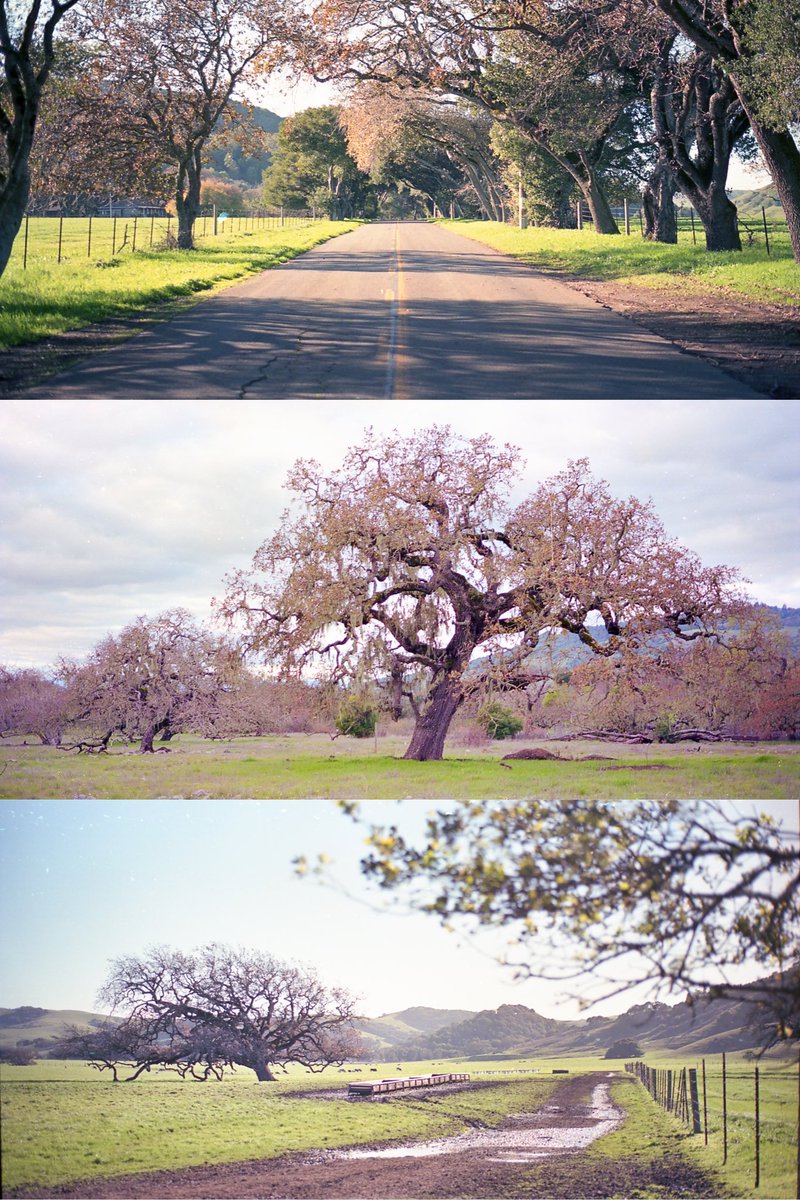 niftyfiffty's tweet photo. A drive around town https://t.co/PhcllIwhYT