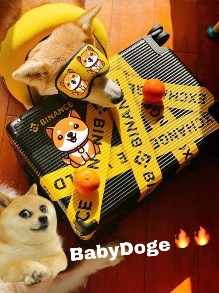 Meta Baby Doge tweet media