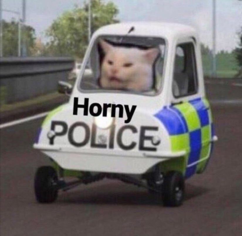 Cowboy__Stephen's tweet photo. @monchithecatmom These comments acting mad horny for being within bonk distance https://t.co/IMNthGoQTk