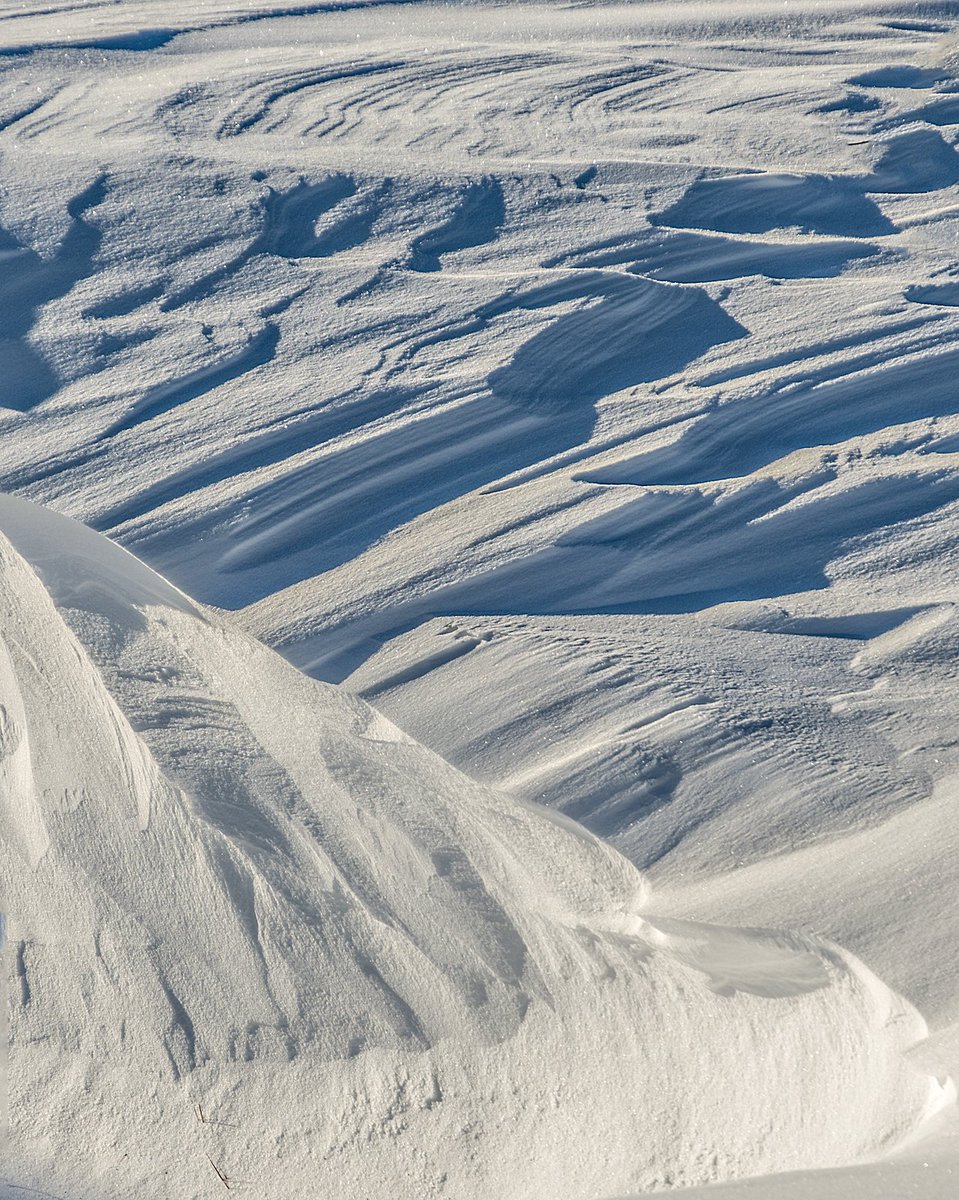 ABfoothillsWX's tweet photo. Out in the sun this aft making some vitamin D, checking out Ma Nature's ditch art after the last blow. #abstractart #snow https://t.co/9tL6oKAnae