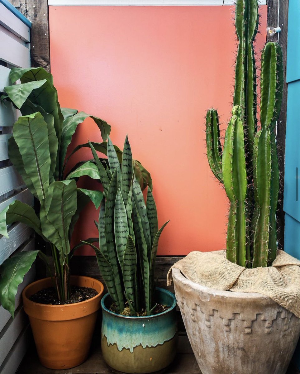 cortezbardc's tweet photo. Warm, bright colors on our rooftop and downstairs bar have the ability to help you forgot it’s winter. Our rooftop is heated and the tequila is flowin’, come check us out! #winterindc #summeratcortez https://t.co/W9yaWnjQkL