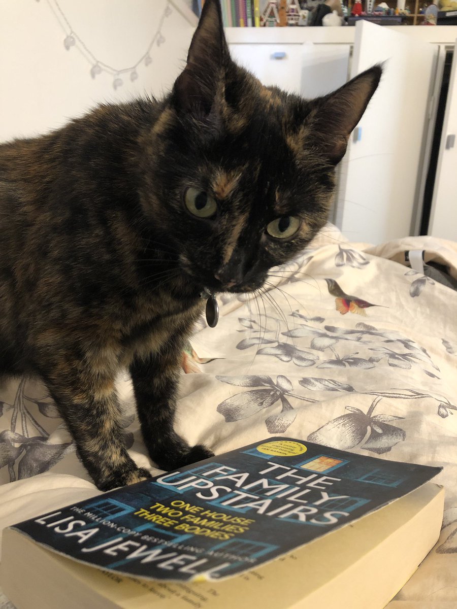 stephsdrawings9's tweet photo. Just finished The Family Upstairs as recommended by @georgiamariexo in her book videos and it was so good! It’s the third book I’ve read from her book video recommendations and none of them have disappointed 😎 https://t.co/BZXOCxomxg