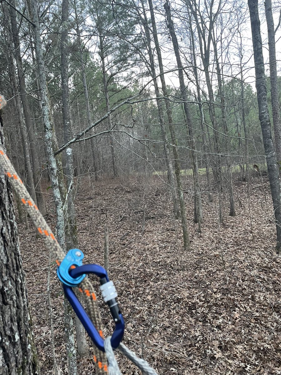 BroNateHamilton's tweet photo. South Winds in the saddle. https://t.co/xtHcW2xVgu