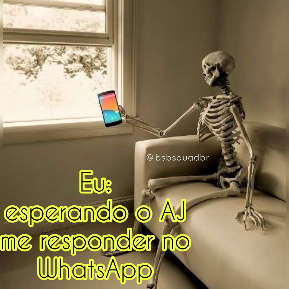 BSB SQUAD BR 🇧🇷 tweet media