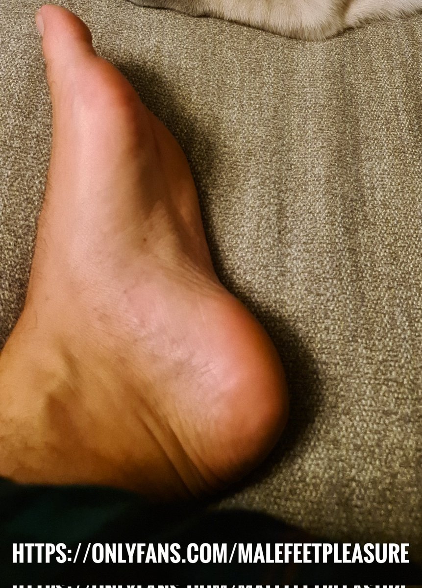 MaleFeetPleasu1's tweet photo. Wanna insert your face in here? 😏 
@FeetSoxSneax @Feet4Meat @rt_slave_ma @AlphaGodz_RT @gayfootjack @Femboispades @FootloverChris @Retweet4Masters #malefeet #manfeet #gayfeet #arabfeet #cashmaster #onlyfansfeet #gayonlyfans #onlyfansmen https://t.co/zkOGk5eFYY