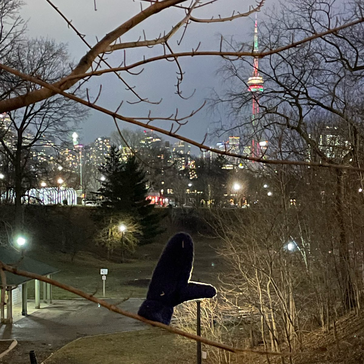 TrinityBellwood's tweet photo. Any kitten that lost a mitten? 

#CNTowerViews #mitten #kitten #lost #single #dogbowl #eveningwalks https://t.co/nuM9Rvb50j