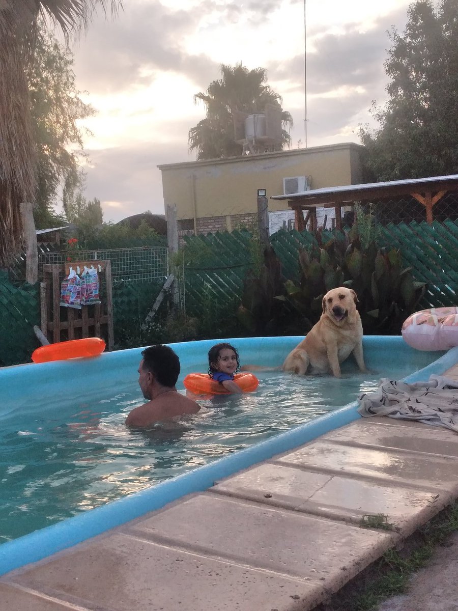 eli_day's tweet photo. @marukaixa Refrescandose https://t.co/SD90DfibFz