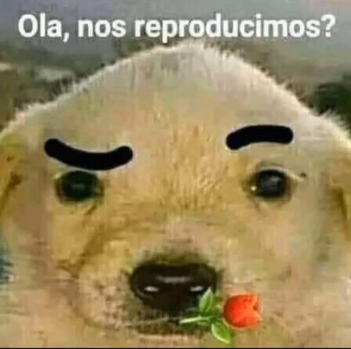 ValdezAno's tweet photo. Ola Twitter https://t.co/wXnQmYMIqa