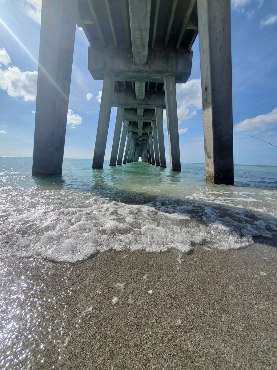 Palm Tree Mobile Detail tweet media