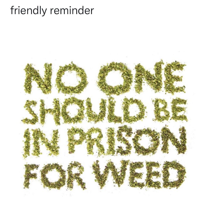 BIG Shoutout too @BoredDealersNFT <a href="/defi_ghost/">GhostDefi</a> for what you guys are representing in the community!! Let’s keep raising awareness and fight to free our community ☁️💔

Potheadz spread good vibes, smoke good weed,  and stick together 🌐

#NFTCommunity #nftart #WeedLovers
