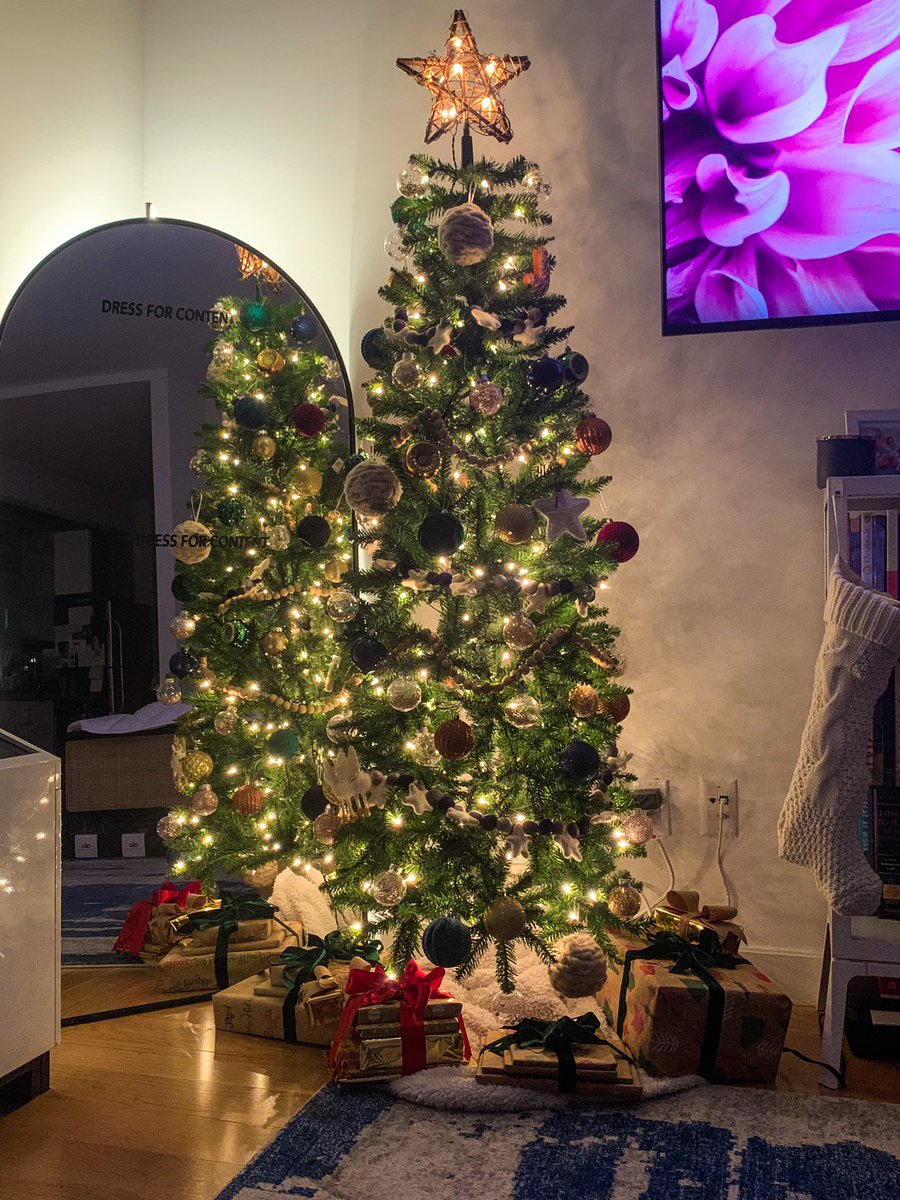 FrontPaigee's tweet photo. The tree in question… https://t.co/1CeaU9gyub
