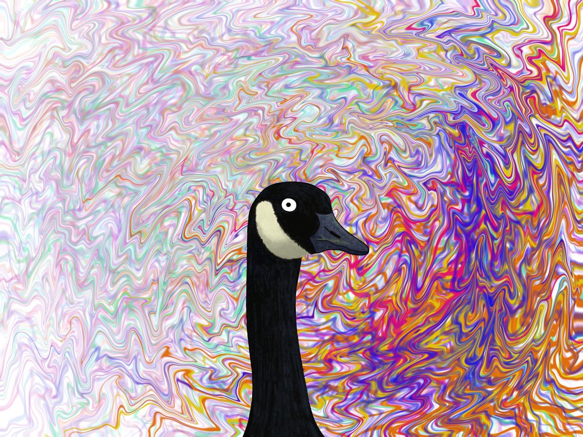 kitoki_Art's tweet photo. Duck duck.....Gooose! #conkconk #geesenation #nftart Watch for more geese drops! https://t.co/SoabykXTcY https://t.co/mpm1ZjHU9R
