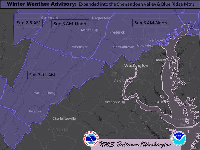 Michael Del Sontro tweet media