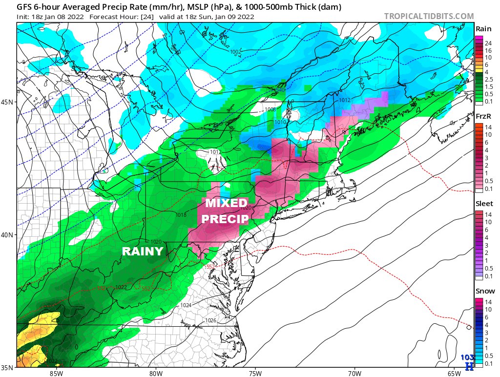 Michael Del Sontro tweet media