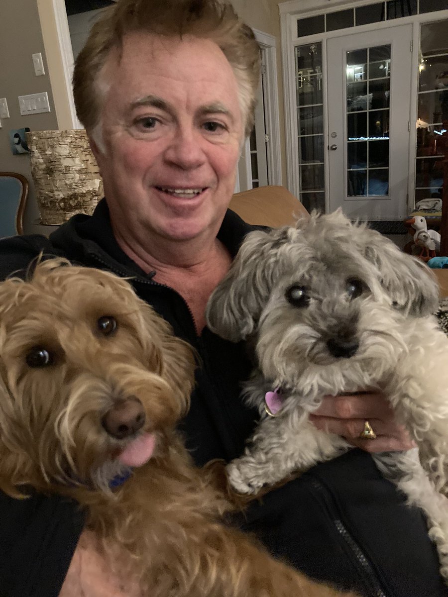 DShewfelt's tweet photo. @jaketapper OMG. Us too with our doppelgänger dogs in Nova Scotia!! https://t.co/nJAphdrD14