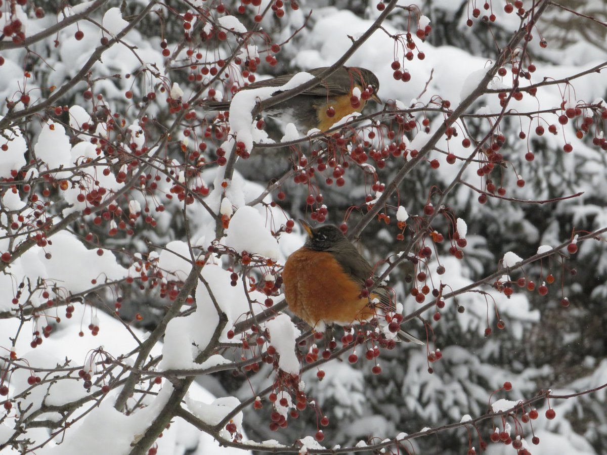 PLKlein_Author's tweet photo. "No one will ever win the battle of the sexes; there is too much fraternization with the enemy." ~ #HenryKissinger #ThinkBIGSundayWithMarsha #ThinkingOutLoud #QuickQuotes #SaturdayMotivation #BattleOfTheSexes #Fraternization #Enemy https://t.co/6Zk4OcPJFK