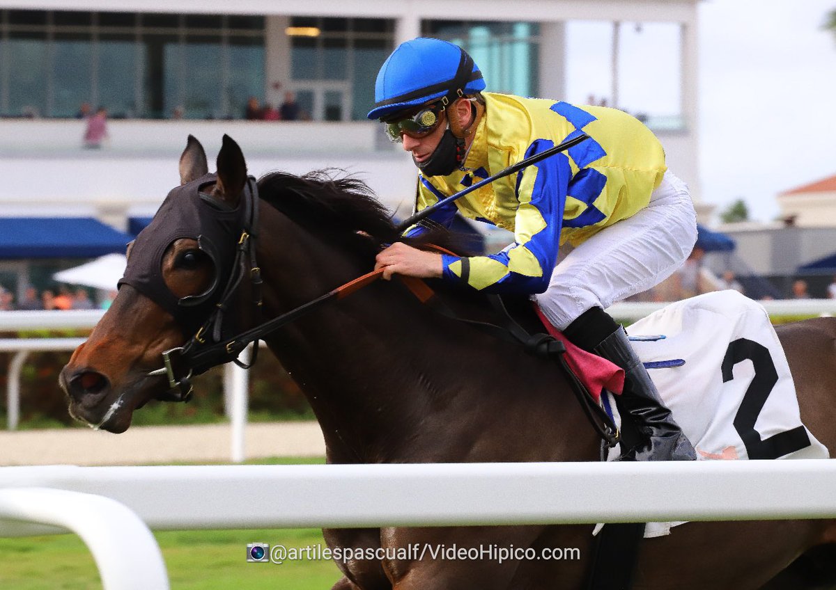 MBOConnorRacing's tweet photo. Clear Vision gives us our first graded stake win in the Tropical Turf (GIII) with great ride by @JulienLeparoux ! Couldn’t be more proud of this horse and my team getting a graded stakes win with a 4 horse stable is quite a feat. Thank you for all the congratulations! https://t.co/Ev9IM613XD