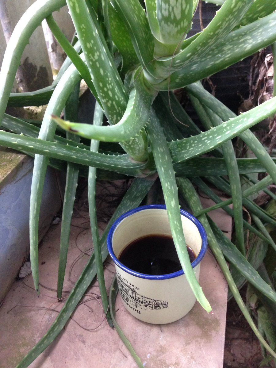 Selamat pagi minggu
Tetap semangat.
😊💪🏻💪🏻🌹