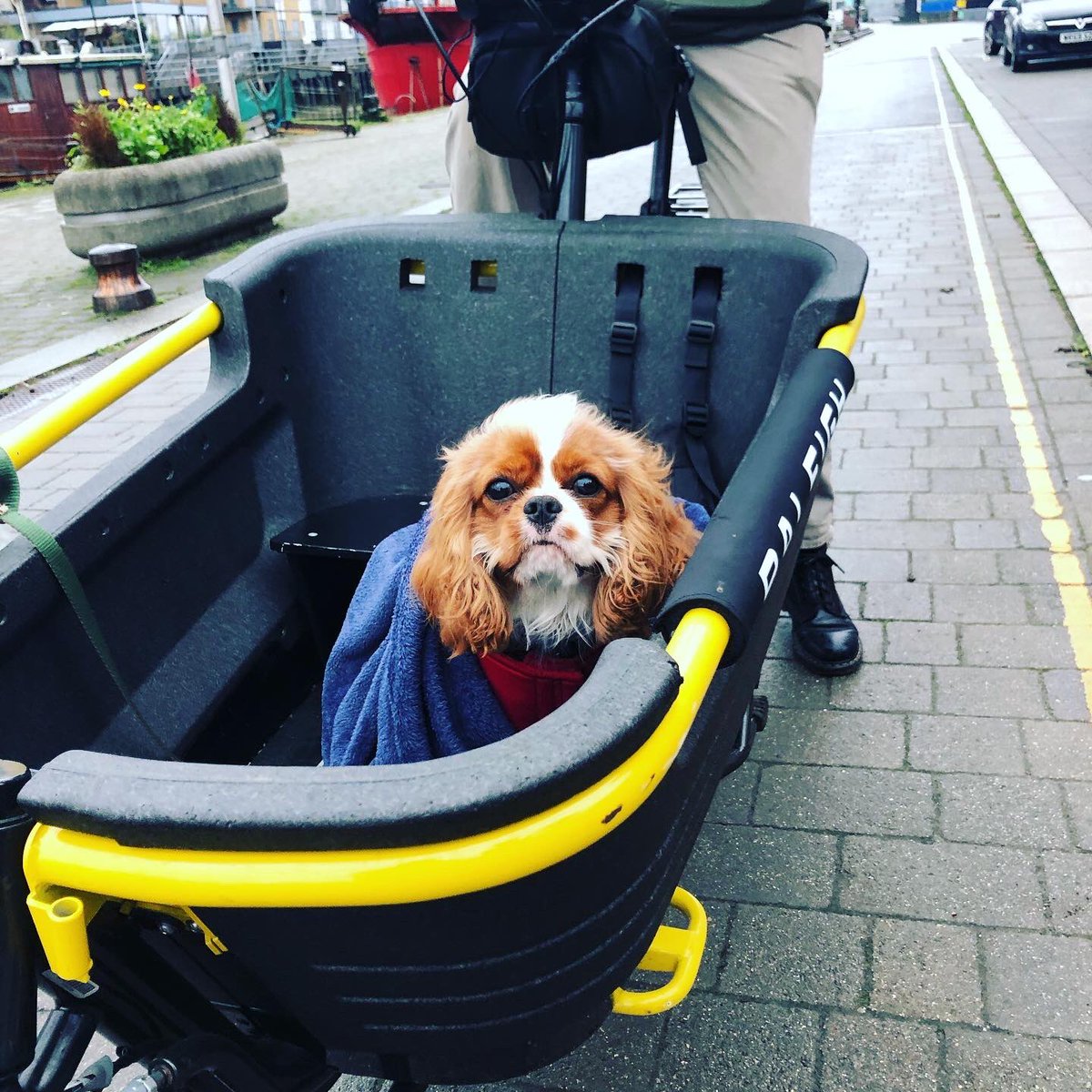 EcargoC's tweet photo. Brilliant couple of hours with @boots_bike today, giving a demo & try-out of the @RaleighBikes_UK #Stride2 - practical, sensible, credible alternative to a family car for your short runs around town. And great fun too! Want to try it out yourself, drop us a message to arrange! https://t.co/1cwchrwtQE